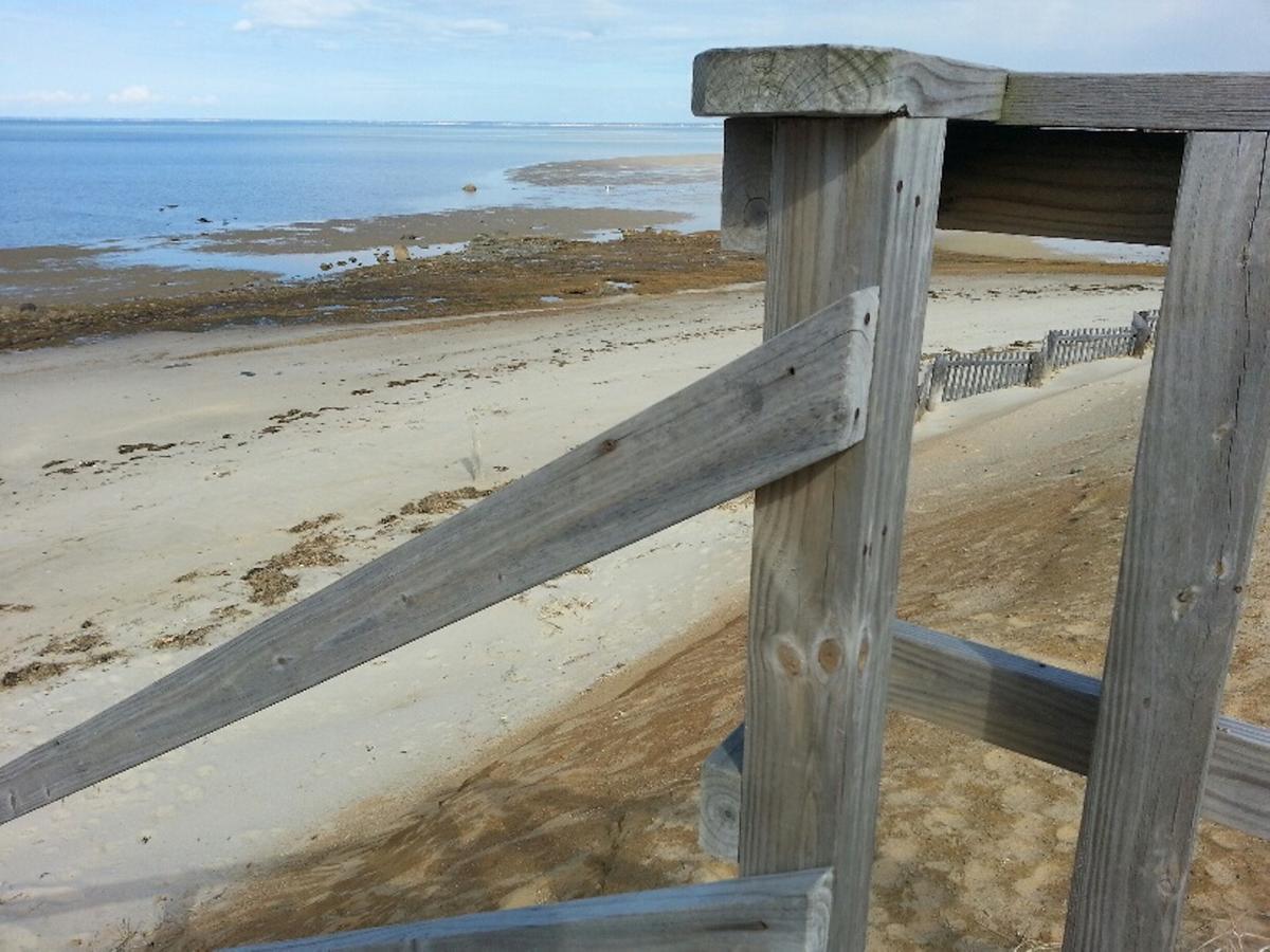 Starlight Lodge Cape Cod Dennis Ngoại thất bức ảnh